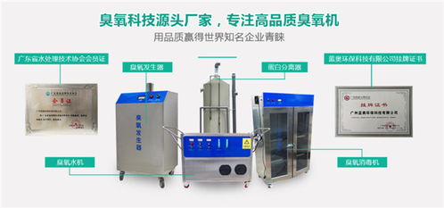 藍(lán)奧環(huán)保科技質(zhì)量好 工業(yè)臭氧機(jī)多少錢一臺高清圖片 高清大圖